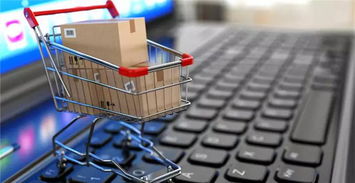 一、 企业之间的网络对接