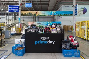 美客多巴西本土店与跨境店物流模式对比