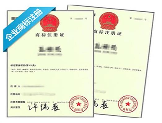 商标保护的重要性及其措施