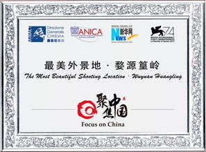 三、美客多六大核心促销活动类型解析