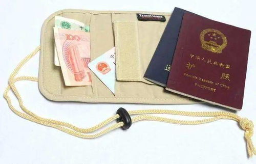 注册韩国公司的必要性与流程概述