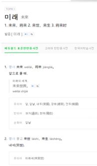 一、 天猫国际中文翻译贴的起源与发展