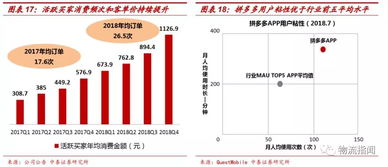 二、行业分析与趋势判断