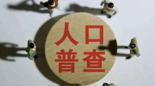 本地董事的多重风险