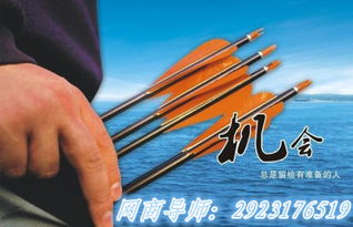 一根网线嫩开几个店铺？