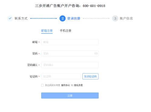 4. 设置预算与出价