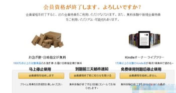 一、 亚马逊Prime会员日的黄金机遇与潜在风险