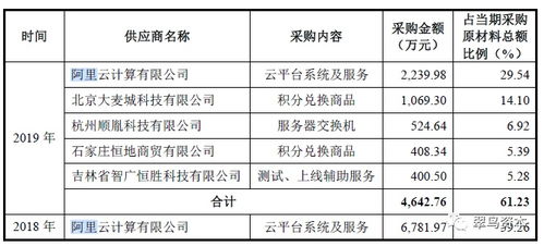 四、 应对潜在风险的策略