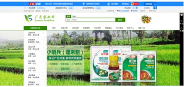 一、 农村电商平台的兴起与发展