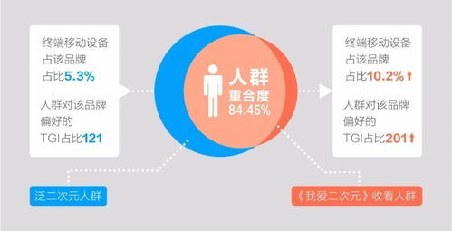三、 美客多广告投放效果分析