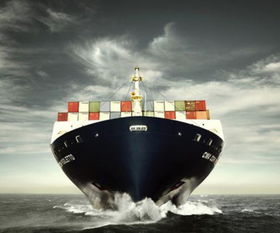 错误或误导性信息：异常低廉的报价