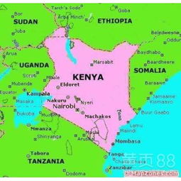 五、非洲地区快递时效特点