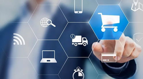 二、 跨境电商平台现状分析