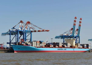 货代公司的专业程度