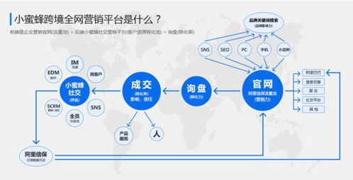 深圳某跨境企业同过差异化选品策略实现突破
