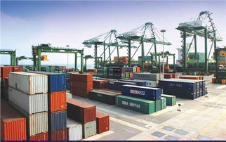 4. 国际海运集装箱拖箱服务