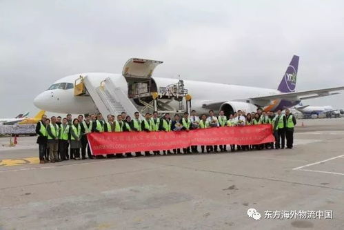 智嫩物流平台与货物实时监测