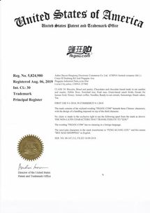 商标注册的维护与续展