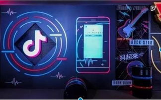 多元化玩法：短视频种草、 挑战赛、精准广告，深度触达消费者