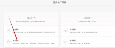 1. 投放平台的选择