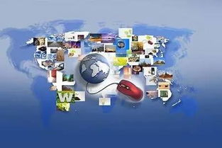 广泛的服务网络与快速配送