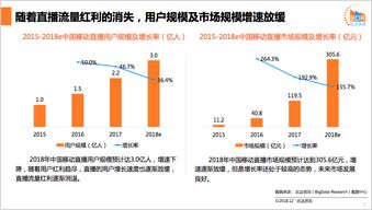 广告收入：品牌曝光与推广的新路径