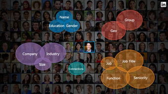 二、 LinkedIn：职业社交的先锋