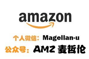 四、 亚马逊全球开店优缺点分析