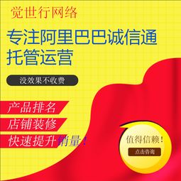 服务商的专业水平与费用平衡