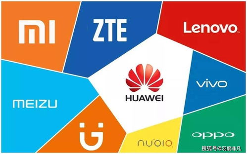 供应链管理的强化与专卖店的限制