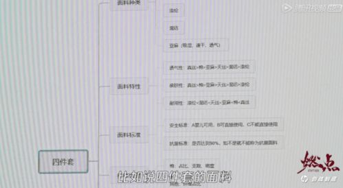 表格：AliExpress百亿补贴品牌出海计划亮点