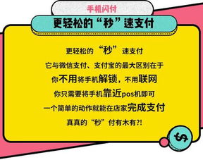 海派：高效、 平安的运输选择