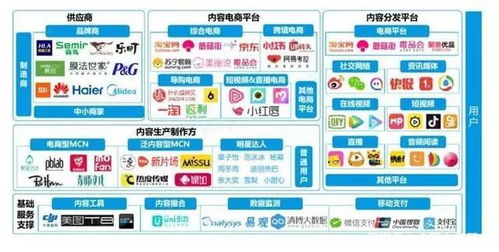 二、 精准定位与KOL合作