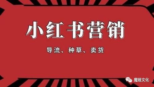 5. 优化内容质量