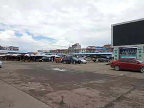 二、 跨区域合作：外地的批发市场