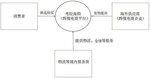 侵权举报：品牌未备案卖家的应对策略