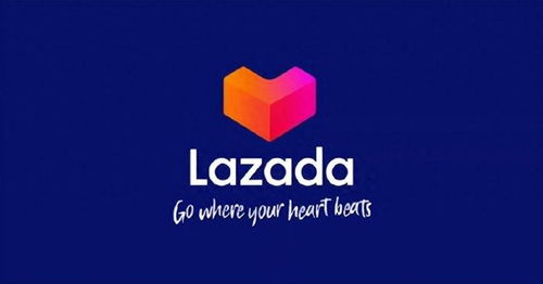 平台发展阶段与市场对策的差异