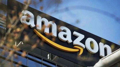 3.1 营业执照的有效期