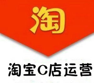 2. 淘宝C店的优势