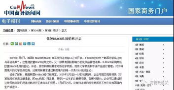 卡派运输出现清关延误如何处理？