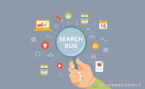 1. 利用上新来测款