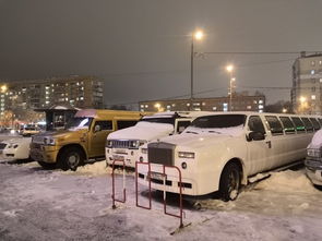 冬季专用雨刷（11月销量是其他月份5倍）