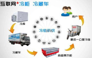 区域化集散中心与数字化管理工具的应用