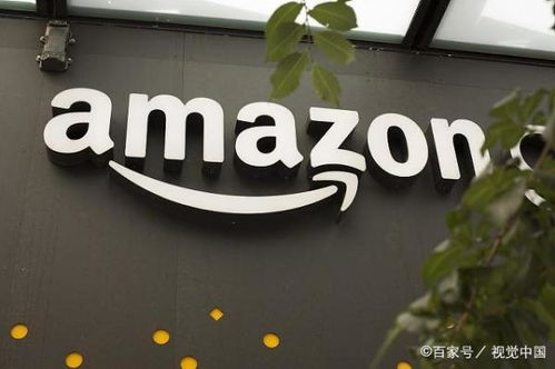 一、 亚马逊自发货的多渠道选择