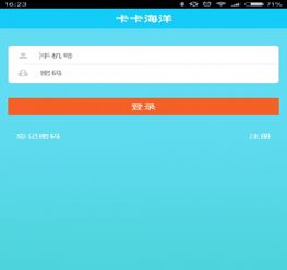 一、 了解海卡卡派及其查询的重要性