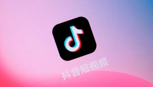 1. 利用电商平台寻找货源