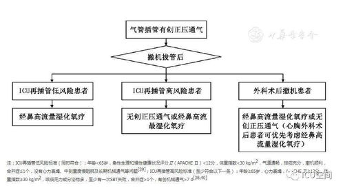 天猫流量分配规则概述
