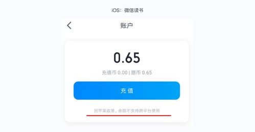 三、 Ozon支付方式的平安性考量