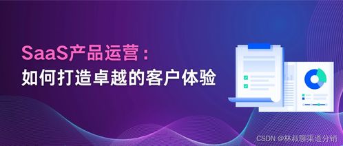 二、 提供卓越的客户服务
