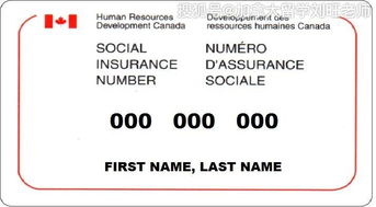 双通道方案：高效运输的保障